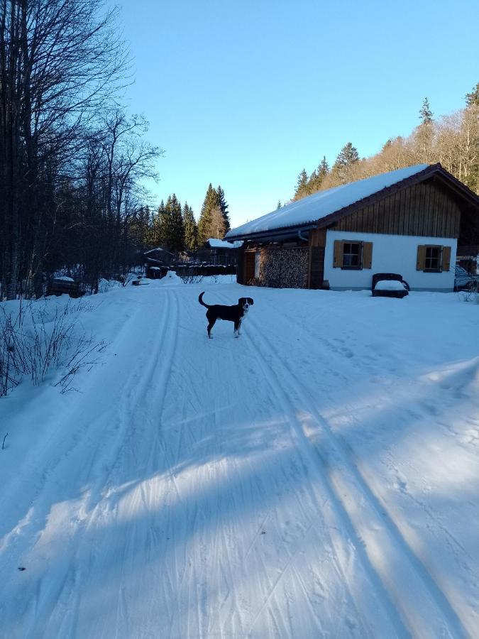Huettenzauber Ferienwohnung Mitten Im Nationalpark 林德伯格 外观 照片